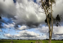 里弗斯：对球队的表现感到失望 责任在我 必须尽快扭转局面.