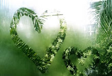 2025长三角国际田径钻石赛（上海／绍兴柯桥）启动3-26 23：28.