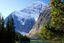 足球——德甲:法兰克福胜斯图加特.